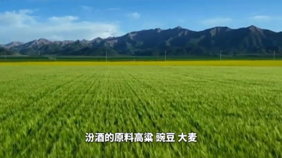 时间沉香，品质出海：汾酒如何重塑中国白酒的全球表达